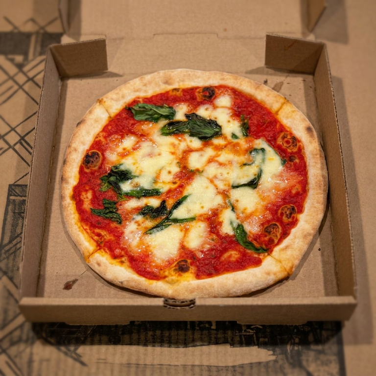 Delicious Margherita Pizza